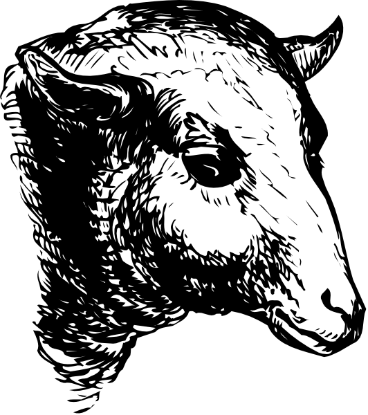 The black and white illustration shows a goat's head with horns against a dark background.