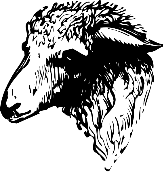 The black and white silhouette of a creature with large ears on its head is shown against a dark background.