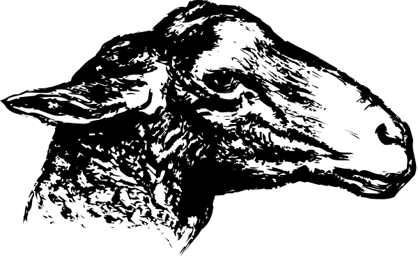 The black and white photo shows a sheep's head with its mouth open against an indistinct background.