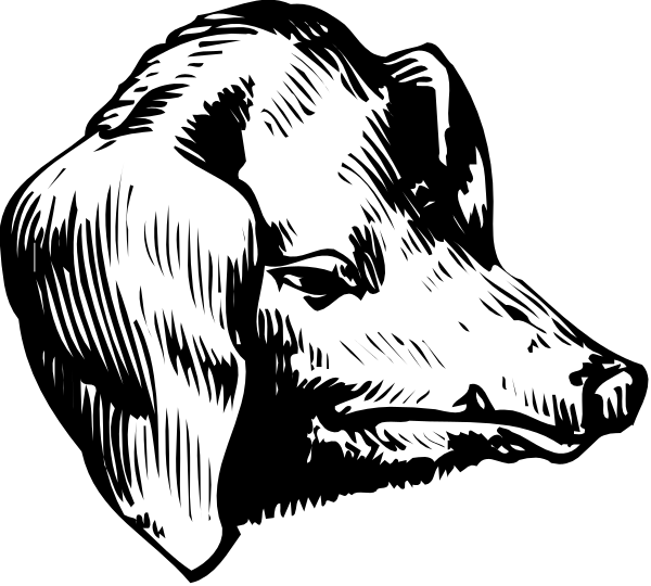 The black and white illustration features a dog's head with its eyes closed against an indistinct background.