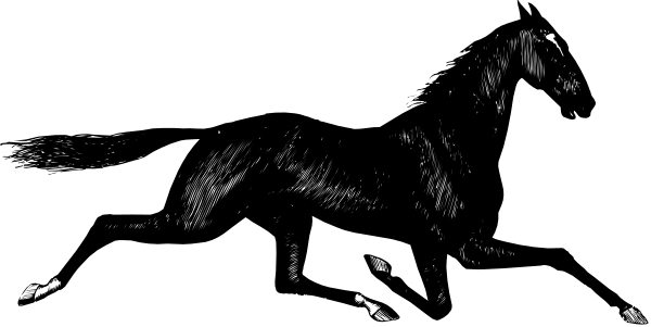 The black and white photo shows a horse with its head down near some water at nighttime.