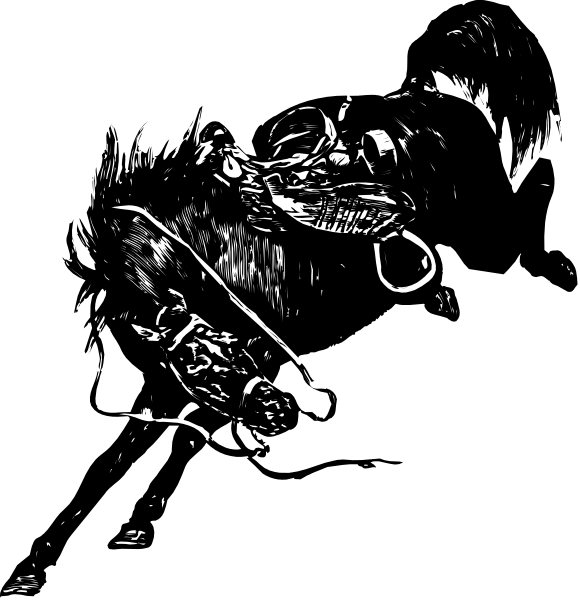 The black and white images show a dog with chains around its neck from two different angles: front view (left) and side profile (right).