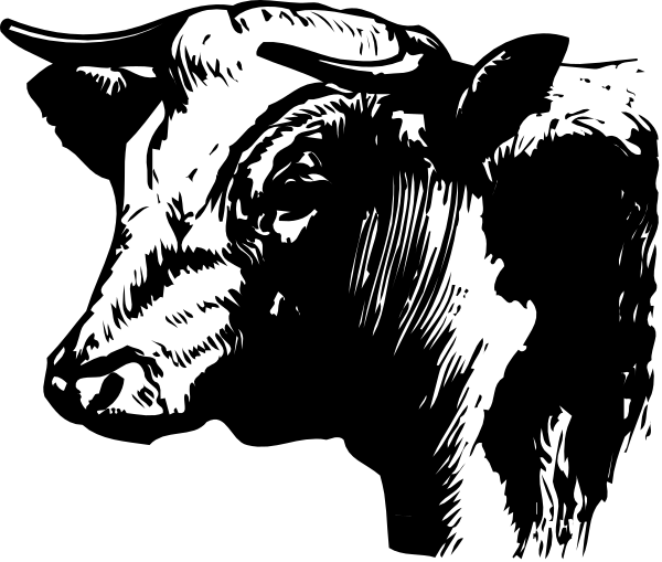 The black and white illustration features a goat's head with horns prominently displayed against an indistinct background.