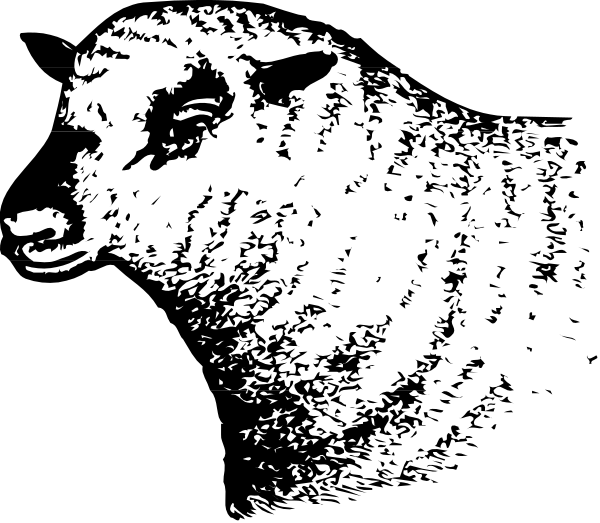 The image shows a black background with white speckles that resemble stars scattered across it; there is no discernible object, person, animal, action, or specific setting depicted in this clip-art representation of space.