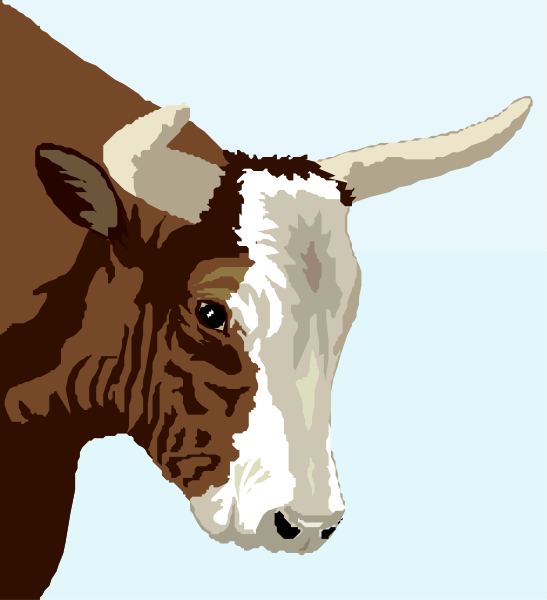 The image shows a cow with long horns standing against a blue background.
