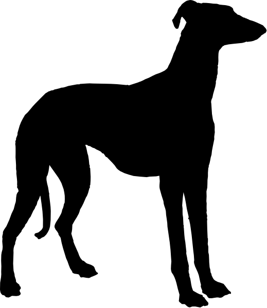 The image shows a black and white striped pattern with no discernible content within it.