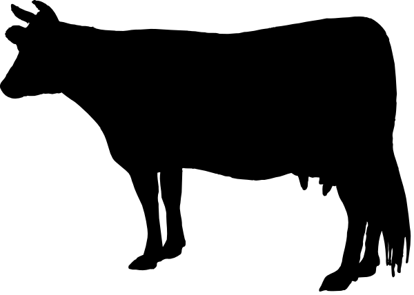 The image shows a black screen with white text that reads "hello world" displayed on it.