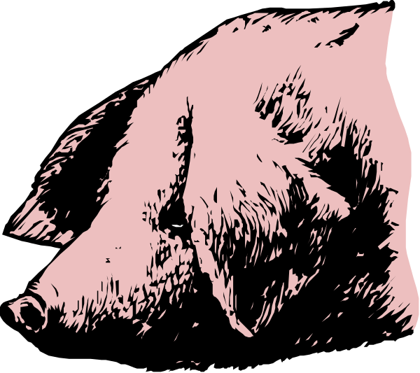 The black and white illustration depicts a bear lying on its back with two legs raised upwards as if it's playing dead in front of another animal that appears to be sniffing at something near the ground, possibly an insect or food source; both animals seem relaxed within their natural habitat which is not explicitly shown.