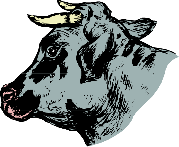 The black and white illustration shows a cartoon cow with horns standing on two legs next to another animal that appears to be an oxen-like creature also depicted in profile view but facing leftward; both animals have large, expressive eyes and appear surprised or shocked expressions.