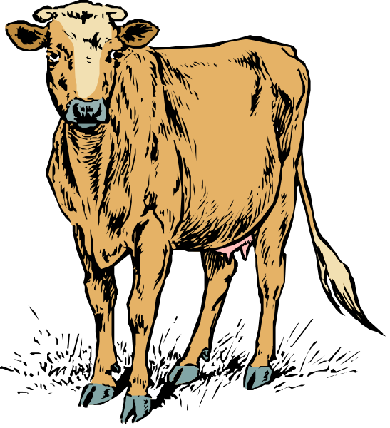 The illustration shows a cartoon cow with blue markings on its legs standing against a black background.