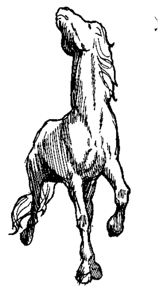 The black and white illustration shows a horse galloping to its right with four legs off the ground against an unadorned background.