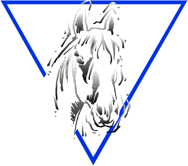 The image shows a black and white photo of an equestrian statue with a horse's head on top inside a blue triangle frame.