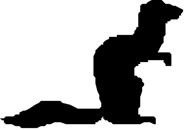 The image shows a gray background with two black lines running horizontally across it at different heights from left to right.
