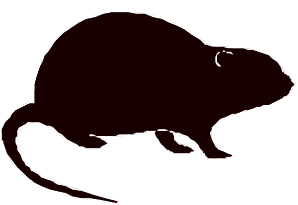The black and white silhouette of a rat next to an elephant's trunk with tusks visible on either side in front view.