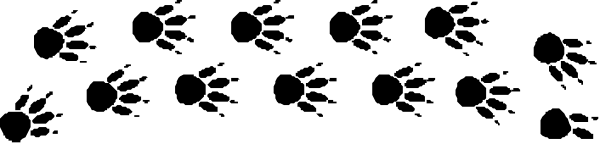 The image shows a gray background with black text that reads "1984."