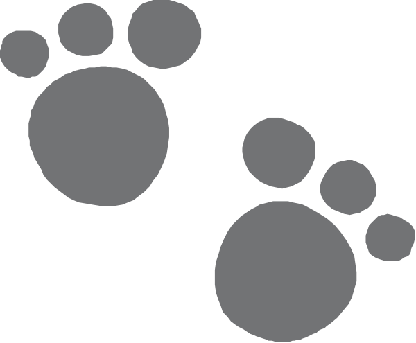 The image shows a black background with white footprints of various sizes scattered across it.