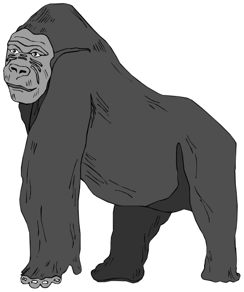 The image shows a cartoon of an anthropomorphic gorilla standing upright on two legs with its arms hanging down by its sides against a black background.