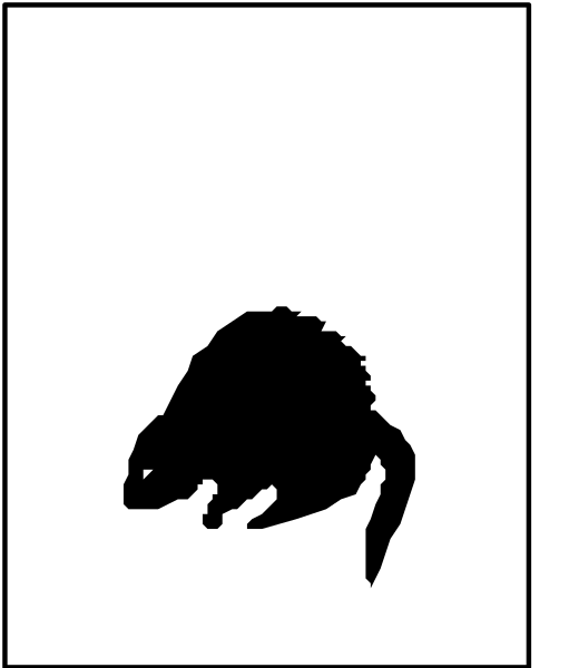 The image shows a black silhouette of an animal on top against a white background at bottom.