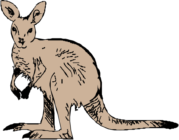 The black and white illustration shows two kangaroos standing side by side with a dark background; on the left is an adult kangaroo facing forward while looking to its right, and on the right stands a smaller juvenile kangarou also turned towards us but slightly behind.