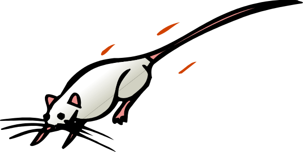 The image shows a white dog with red eyes running at high speed towards an unseen target on what appears to be a dark background.