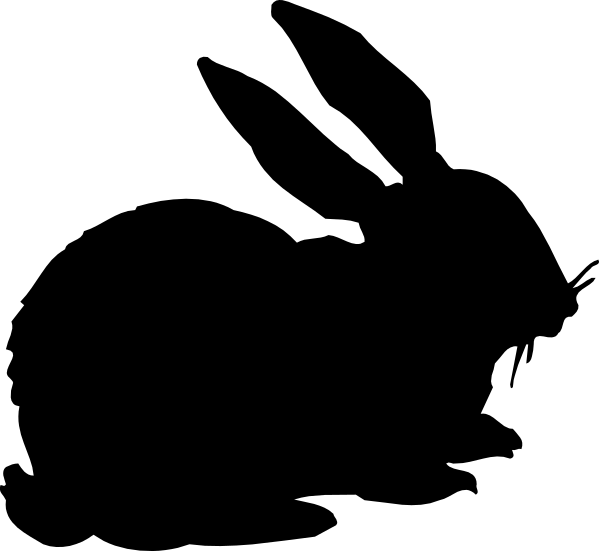 The black square on a white background with no other content to report.
