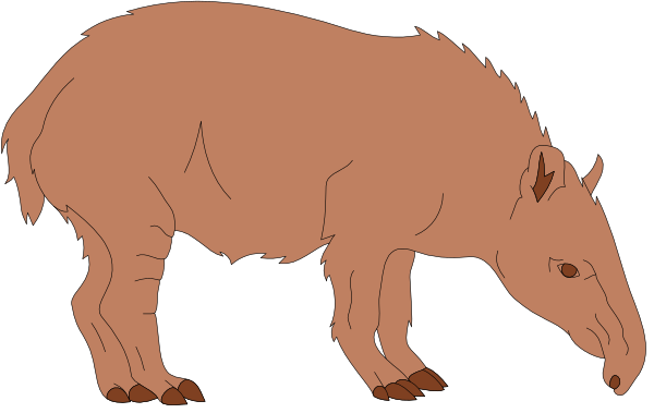 The image shows two cartoon depictions of a creature that resembles an animal with large ears standing upright on its hind legs next to each other against a black background; it is labeled as "WOLF" and has long, pointed teeth in both instances.