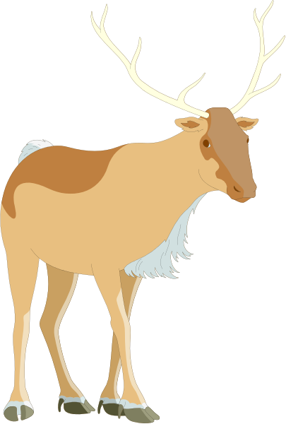 The image shows a cartoon of an adult male reindeer standing on two legs with its head turned to look at something off-frame.