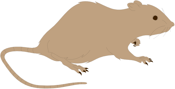 The image shows a cartoon rat with its tail curled up next to it on what appears to be an abstract background that resembles watercolor brush strokes in shades of brown and black.