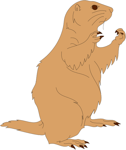 The image shows a cartoon of an animal that resembles a beaver standing upright on its hind legs with front paws raised as if it's conducting music while looking upwards towards something unseen in what appears to be a dark background, possibly suggesting performance or attention-seeking behavior.