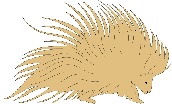 The image shows a cartoon of an animal that resembles a hedgehog with spiky hair-like quills on its back walking to the right against a black background.