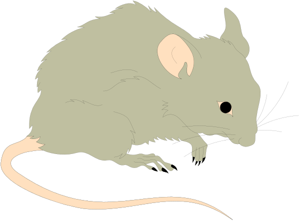 The black and white illustration shows a rat with its tail curled around it while standing on two legs next to another smaller mouse that is also sitting up but has no visible face features like eyes or nose.