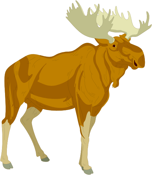 The image shows a cartoon depiction of an orange moose standing on two legs with its head turned to look at something off-frame.