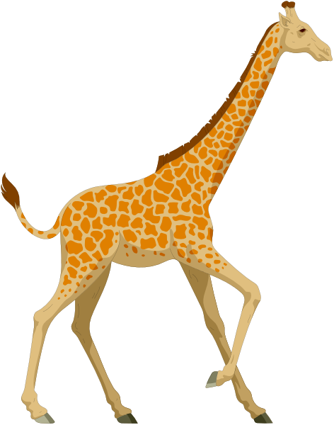 The image shows a cartoon giraffe standing upright against a plain background with no other elements present.