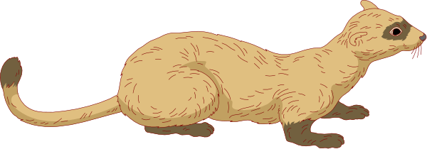 The image shows a cartoon of two cats running side by side with their tails up on what appears to be an outdoor surface during daylight hours.