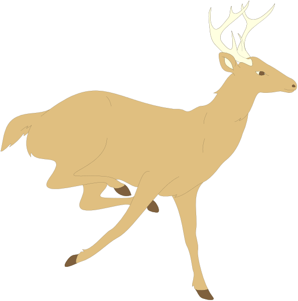 The image shows two separate illustrations of a deer running: on top it is shown from behind with its head turned to look back over one shoulder; below that same pose but in profile view facing leftward.