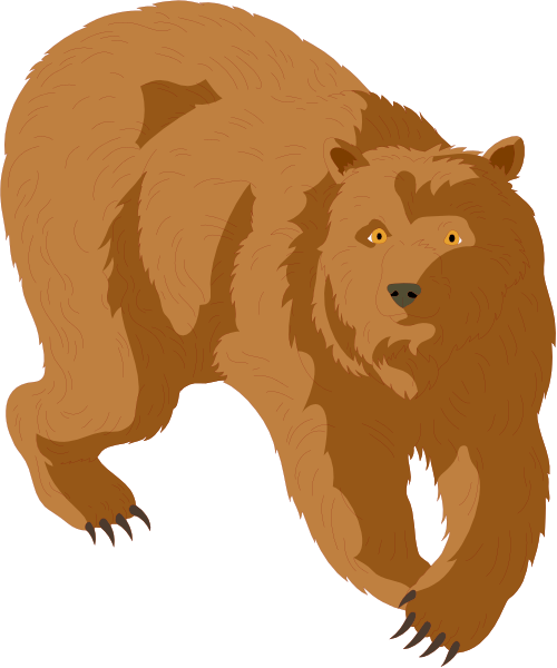 The illustration shows a brown bear standing on its hind legs with front paws extended forward as if running through an open field under clear skies during daylight hours.