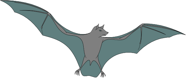 The image shows a cartoon bat flying with its wings spread against a dark background.