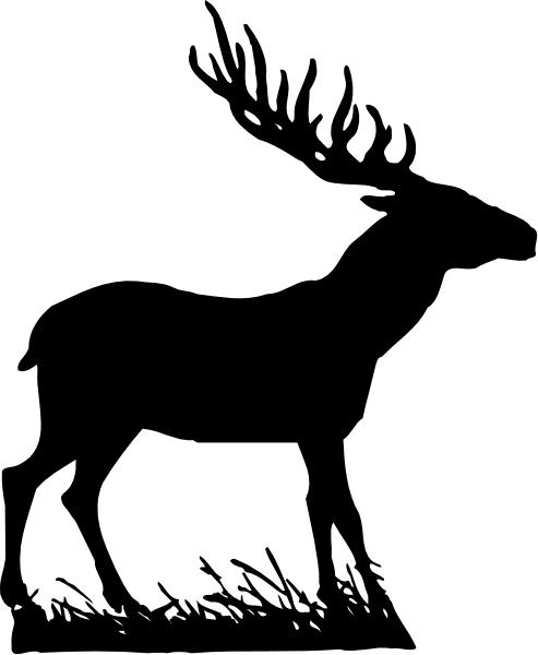 The black and white silhouette of a horse standing on grass at night with its head down towards ground level.