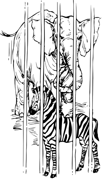 The black and white photo shows a person standing behind bars with their back to us; there is no text present within this image.