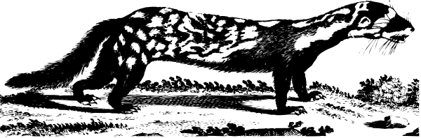 The black and white photo shows a person sitting on top of an object that resembles a surfboard with fins at each end in what appears to be water.