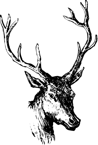 The black and white photo shows a deer's head with antlers against an indistinct background that appears to be darker at its edges than in the center.