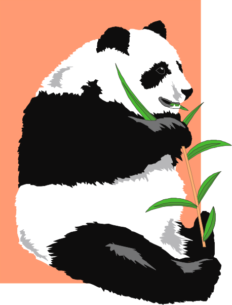The image features a panda bear sitting on its hind legs with bamboo leaves held up to its mouth as if eating them.