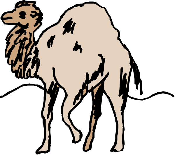 The black and white illustration shows two camels standing side by side against a dark background with their heads turned to face each other; there is no text present in this image.