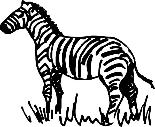 The black and white silhouette of a zebra standing on what appears to be grass with its head turned towards something off-frame.