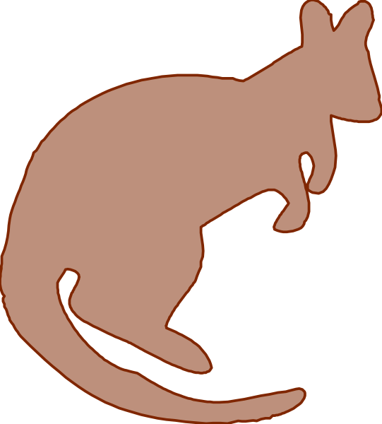 The image shows a stylized graphic of an Australian kangaroo with its tail curled upwards against a dark background.