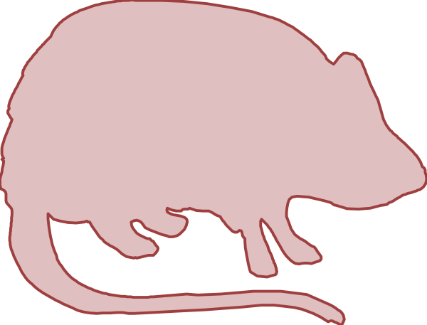 The image shows a pink rat with its tail curled around it next to an illustration of what appears to be a mouse hole in black silhouette against a white background.