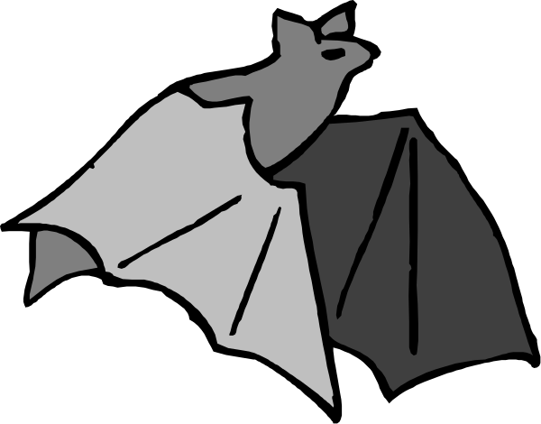 The black and white silhouette of a bat with wings spread out against an unseen background.