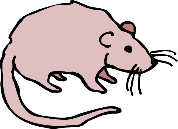 The image shows a cartoon of two mice with different expressions: on the left is an angry mouse pointing its finger at another smaller one that appears to be scared; both have pink fur and large eyes typical for this type of illustration, set against a black background.