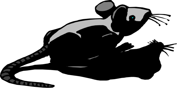 The black silhouette of a fish with an eye on it against a grey background.
