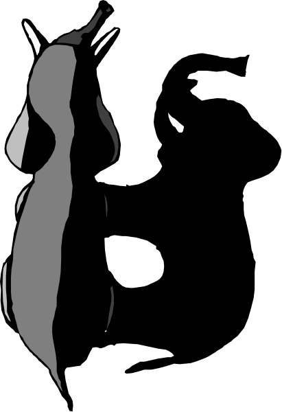 The black and white photo shows a person's face with an animal head on top of it; there is no text present in this image.